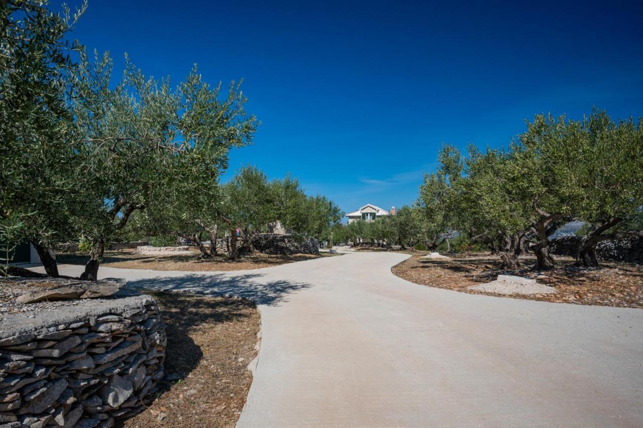 Olive Park House Brac Villa Povlja  Exteriör bild